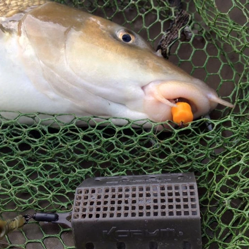 Sonubaits Oozing Barbel & Carp Pellets